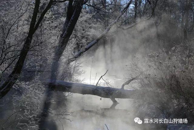 学生家长说孩子很多题不会做怎么回答