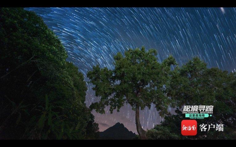 游戏开发者