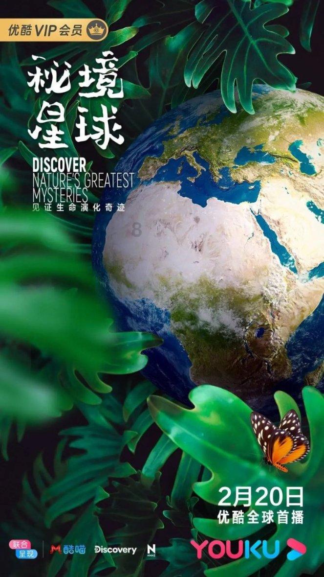 杨紫又打出现偶“王炸”剧了!开播5天夺周榜第一,连追4集收不住