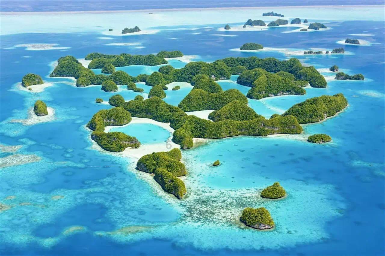 逃离橙园