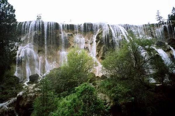 罗莱迪思荣获杭州西湖风景名胜区岳庙管理处表彰