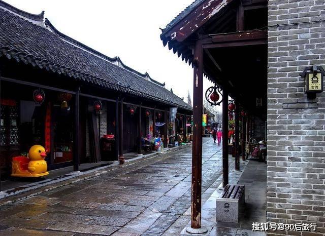 救援鹦鹉